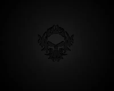 Barely Visible Skull Badge on Black HD Wallpaper