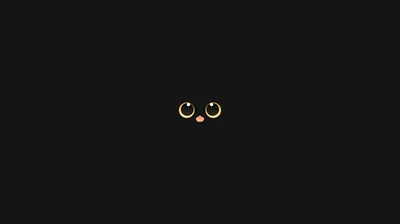 Cat Eyes in the Dark HD Wallpaper