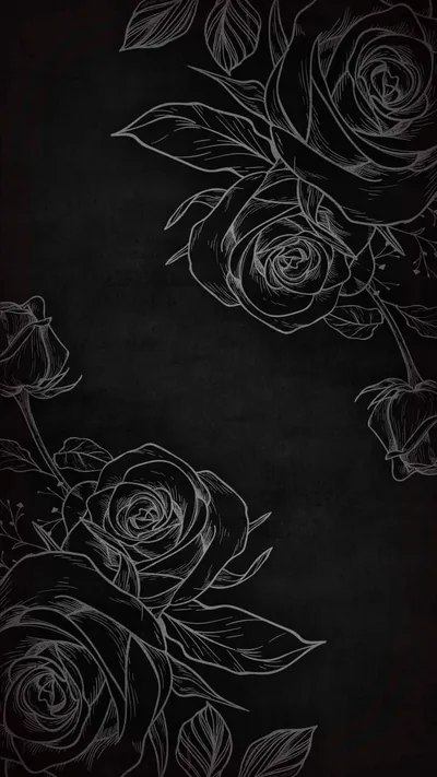 Outlined Roses on Black Chalkboard HD Phone Wallpaper