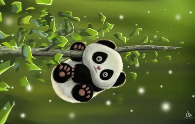 Panda Wallpaper Desktop Joen Wallpaper