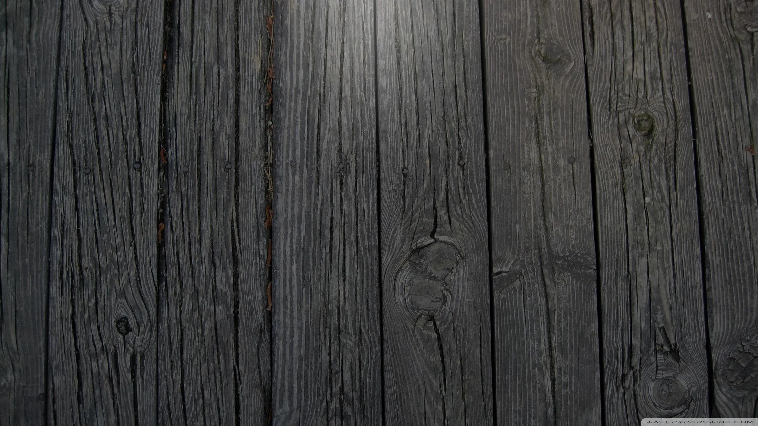 Vertical boards of charred, split wood run top to bottom, knots and grain picked out by light coming in from the left.