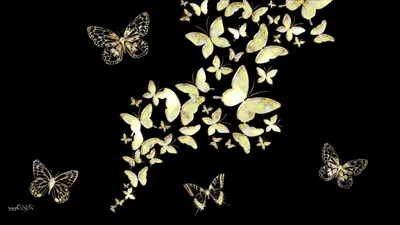 Black Butterfly Background Wallpaper images