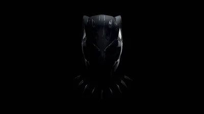 Panther Mask Half in Shadow HD Wallpaper
