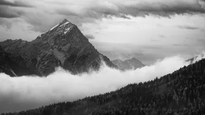 Rocks Mountain Clouds Trees Forest Black And White Sky 4K HD Black Wallpapers