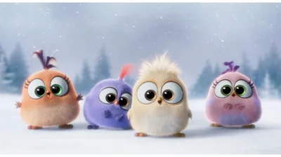Cute 4k Wallpapers