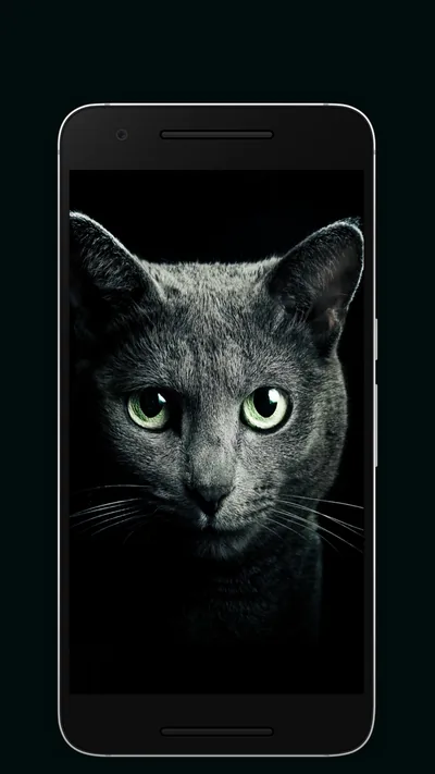 Android İndirme için Black Wallpaper 4K Dark & Amoled HD
