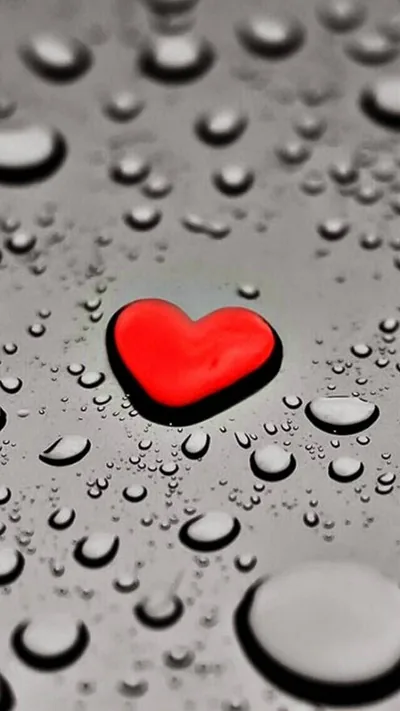 Romantic Iphone Wallpaper