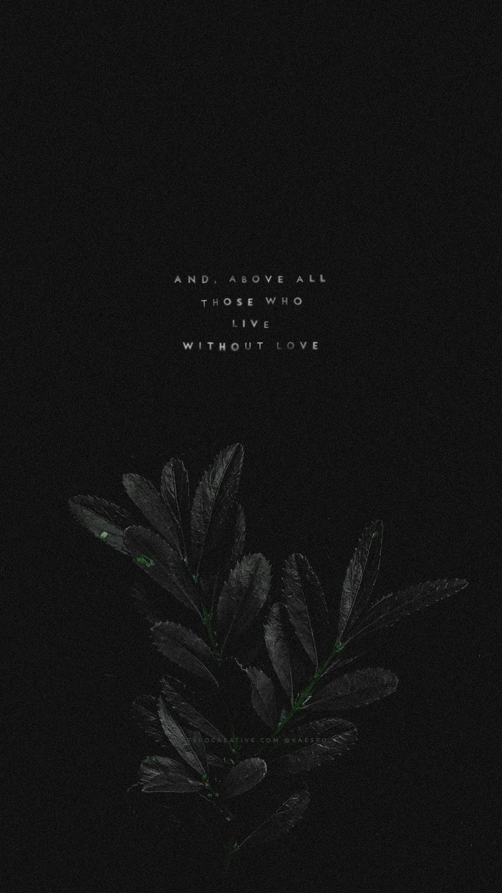 A sprig of narrow leaves emerges from the bottom of a near-black frame, a small line of grey text sitting alone in the upper third.