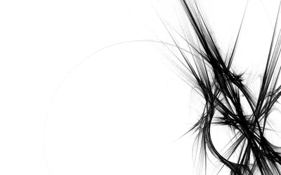 Black Fractal Strands on White HD Wallpaper