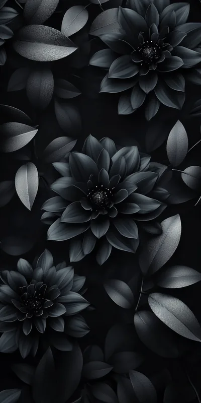 Black Flower Desktop Background