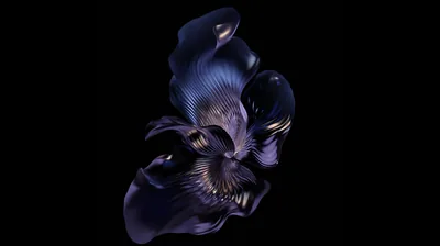 Hd Abstract Wallpapers Black