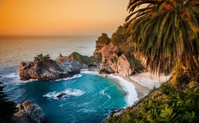 nature, Sea, Waves, Palm Trees, Beach Wallpapers HD