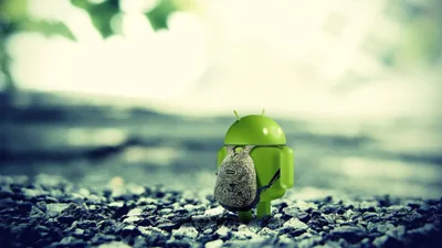 Android Developer Wallpapers