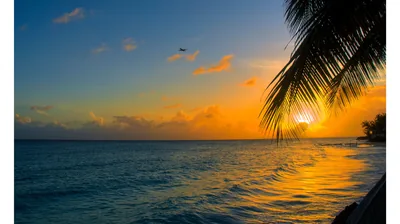Airliner Crossing a Tropical Sunset HD Wallpaper