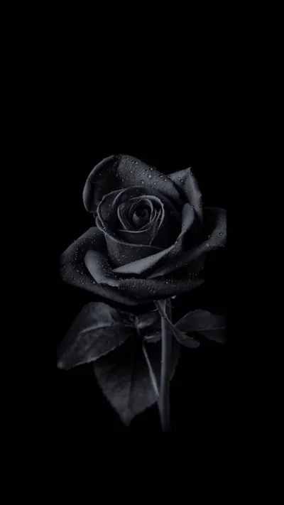 OM Black Wallpapers