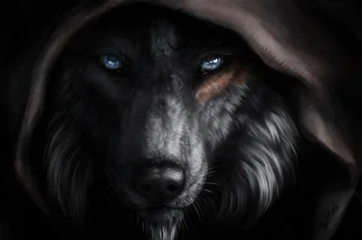 Mystic Wolf Fantasy HD Wallpaper