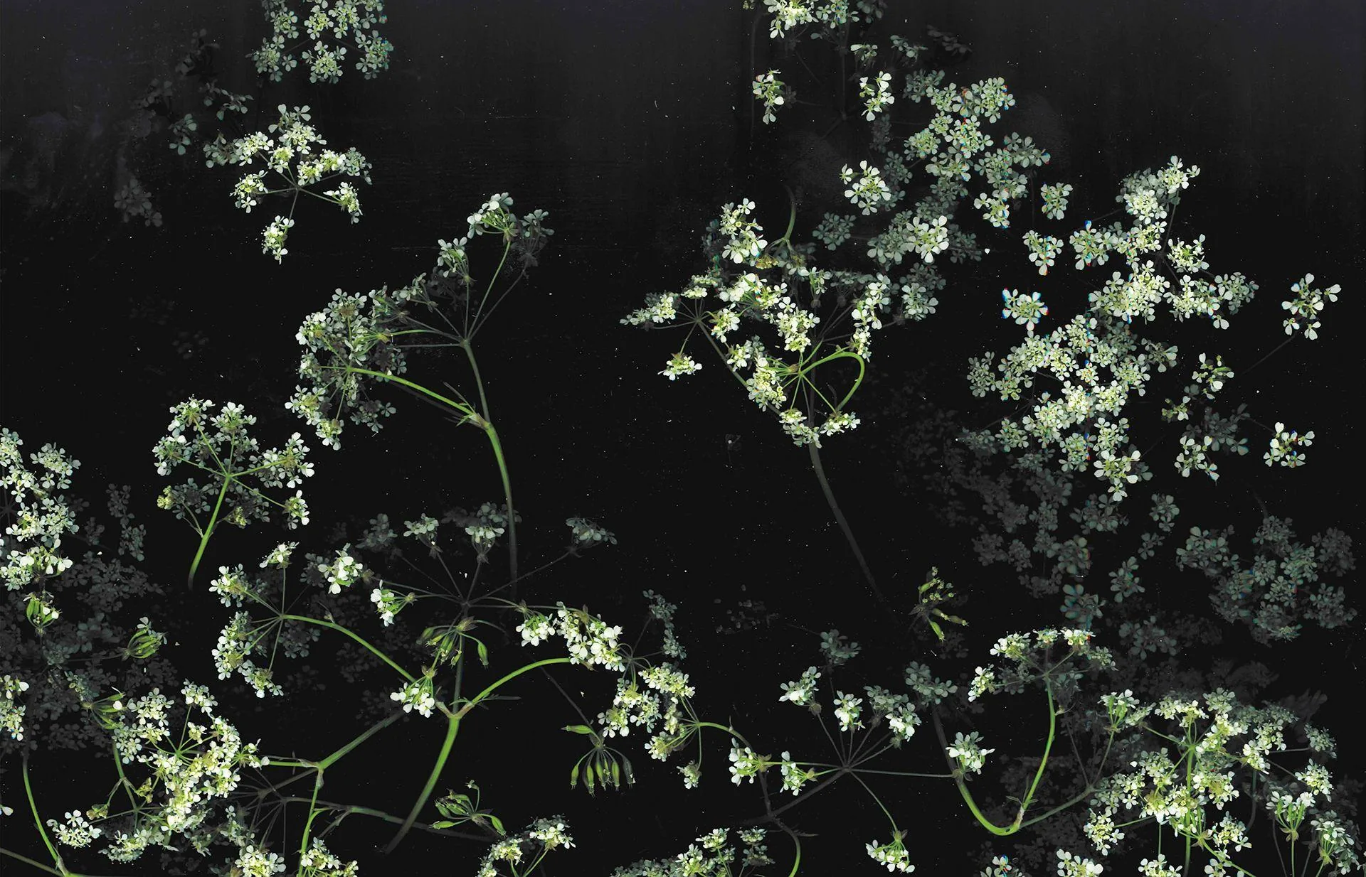 Aesthetic Dark Desktop Wallpapers Aesthetic Dark Desktop
