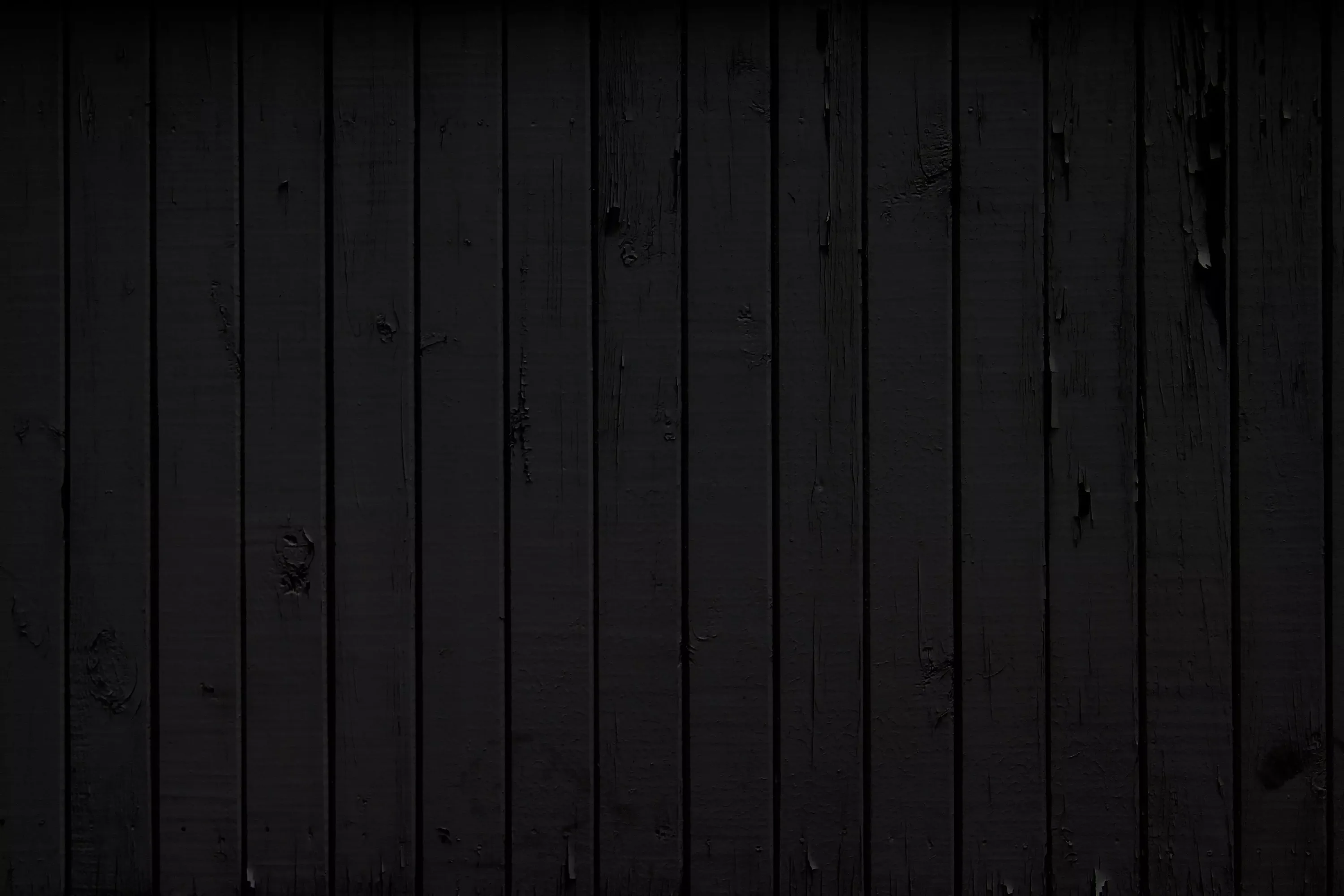 Narrow fence boards painted matte black stand upright with thin seams, a dark knotted patch in the upper right and both bottom corners edging deeper into shadow.