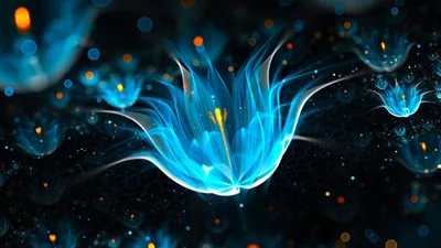 Blue Glowing Flower in the Deep HD Wallpaper