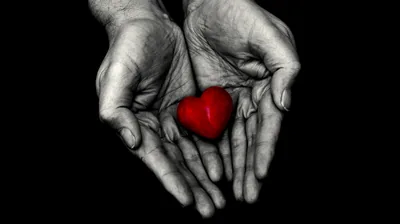 Red heart Wallpaper 4K, Holding hands, 5K, 8K, Love heart