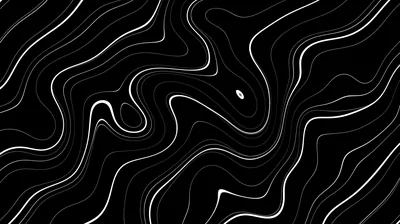 White Topographic Lines on Black HD Wallpaper