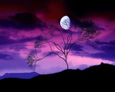 Cool Dark Moon Wallpapers 4k, HD Backgrounds