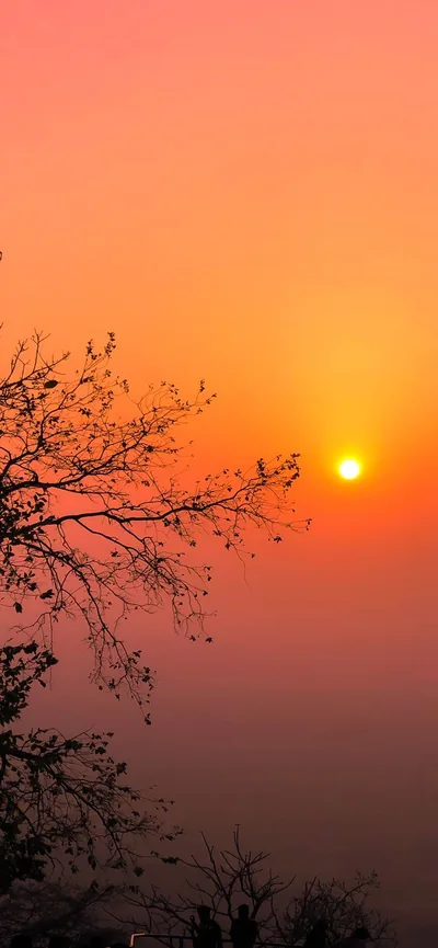 Small Sun in an Orange Haze HD Phone Wallpaper