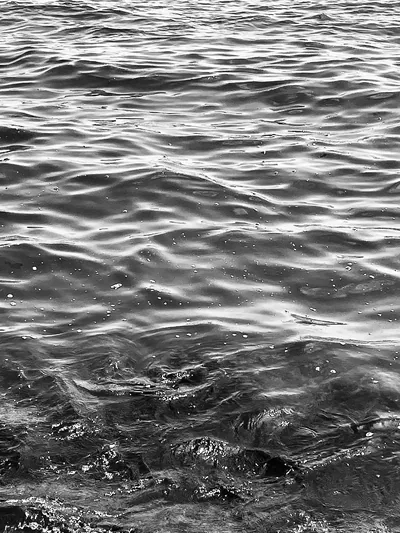 Ocean Black And White Photos, The BEST Free Ocean Black And White Stock Photos