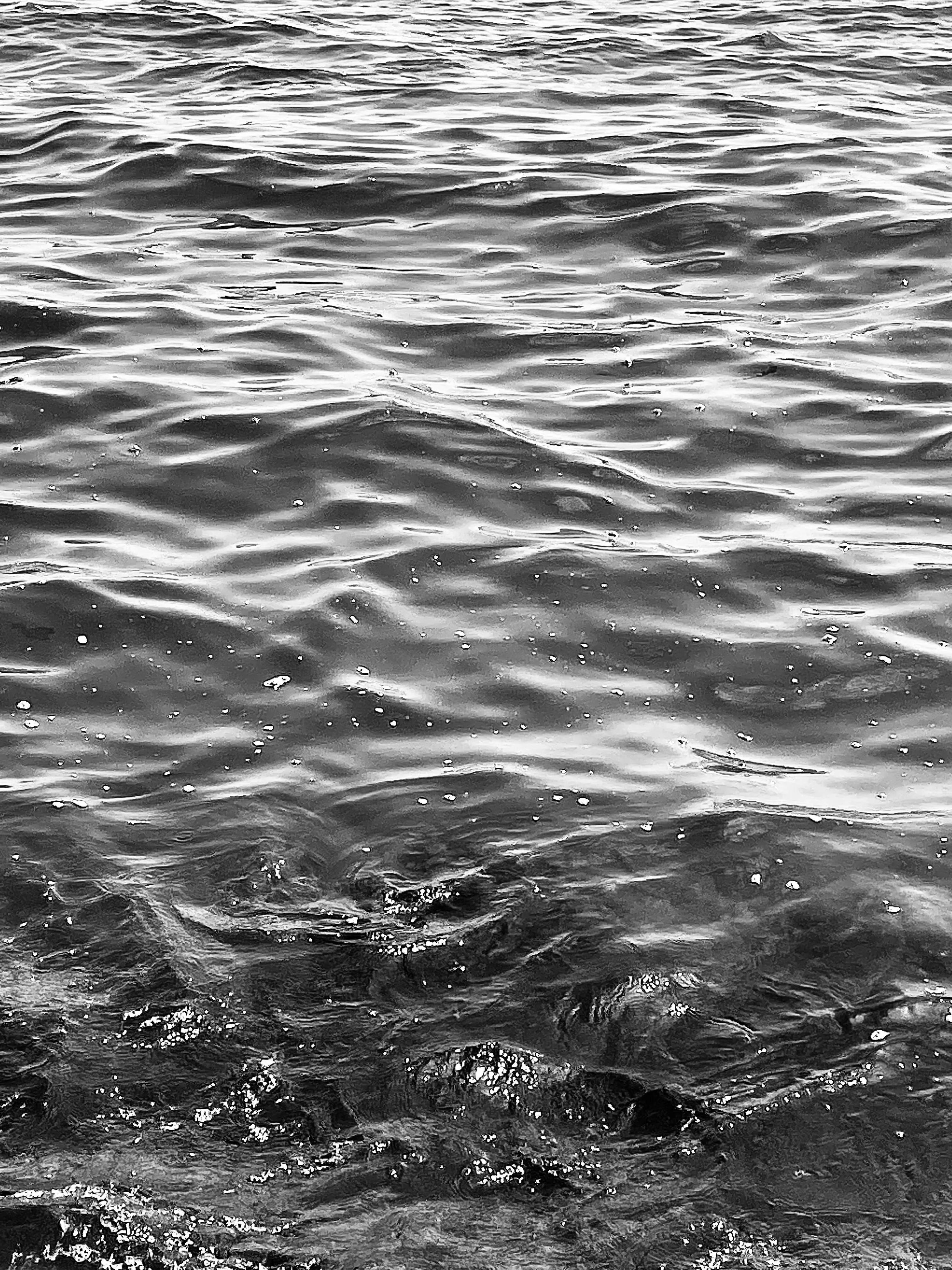 Ocean Black And White Photos, The BEST Free Ocean Black And White Stock Photos