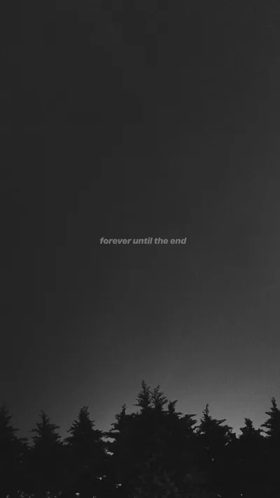 A row of pine tops runs along the bottom of a flat grey sky, with the words forever until the end set small and pale in the middle.