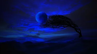 Cloud Landscape Tree Blue Artistic Moon HD Wallpaper