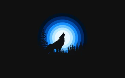 Howling Wolf Silhouette Against a Blue Moon HD Wallpaper