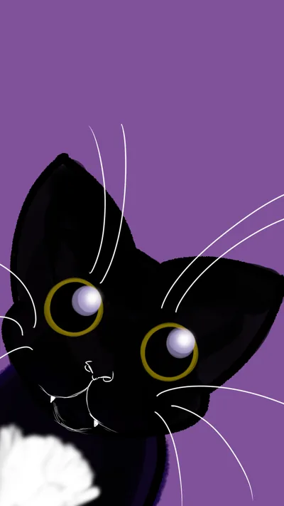Black Cat Art Wallpaper