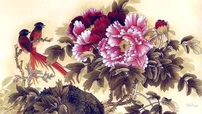 Oriental Flower Wallpapers Oriental Flower Backgrounds
