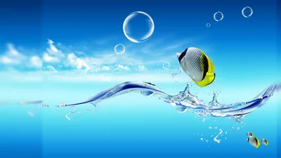 Live Moving Wallpapers