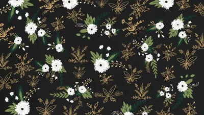 Black Background Wallpaper