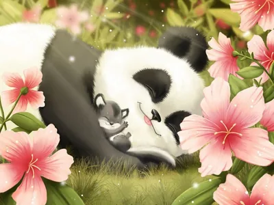 Cute Panda Desktop Wallpapers Cute Panda Desktop Backgrounds
