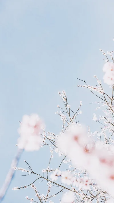 Pastel HD Wallpaper