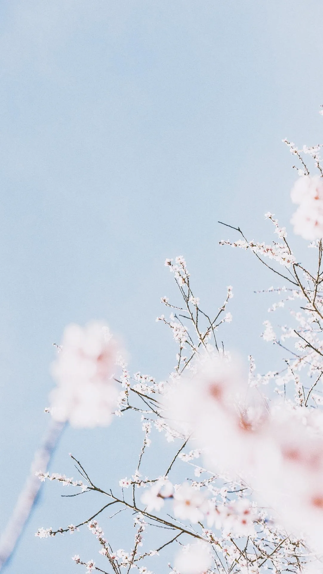 Pastel HD Wallpaper