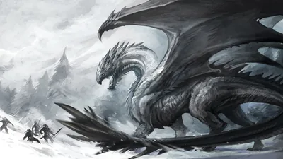 Black and White Dragon Wallpapers