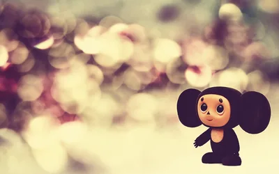Cute Wallpapers images