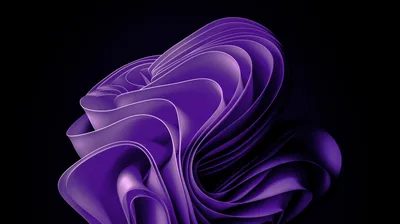 Purple Bloom Ribbon on Black HD Wallpaper