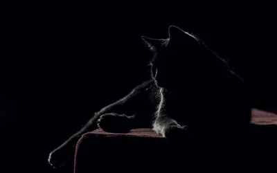 Wallpaper Black, black house Picture, Image