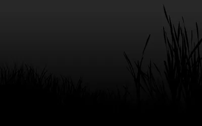 1280X700px Black Wallpaper and Background