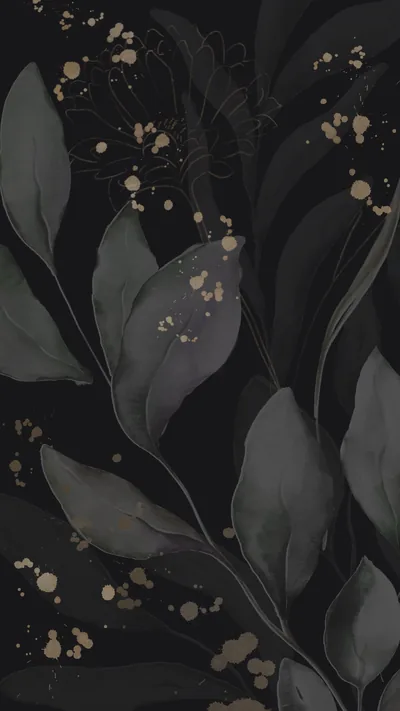 Black free phone wallpapers the November edition Vanity Owl