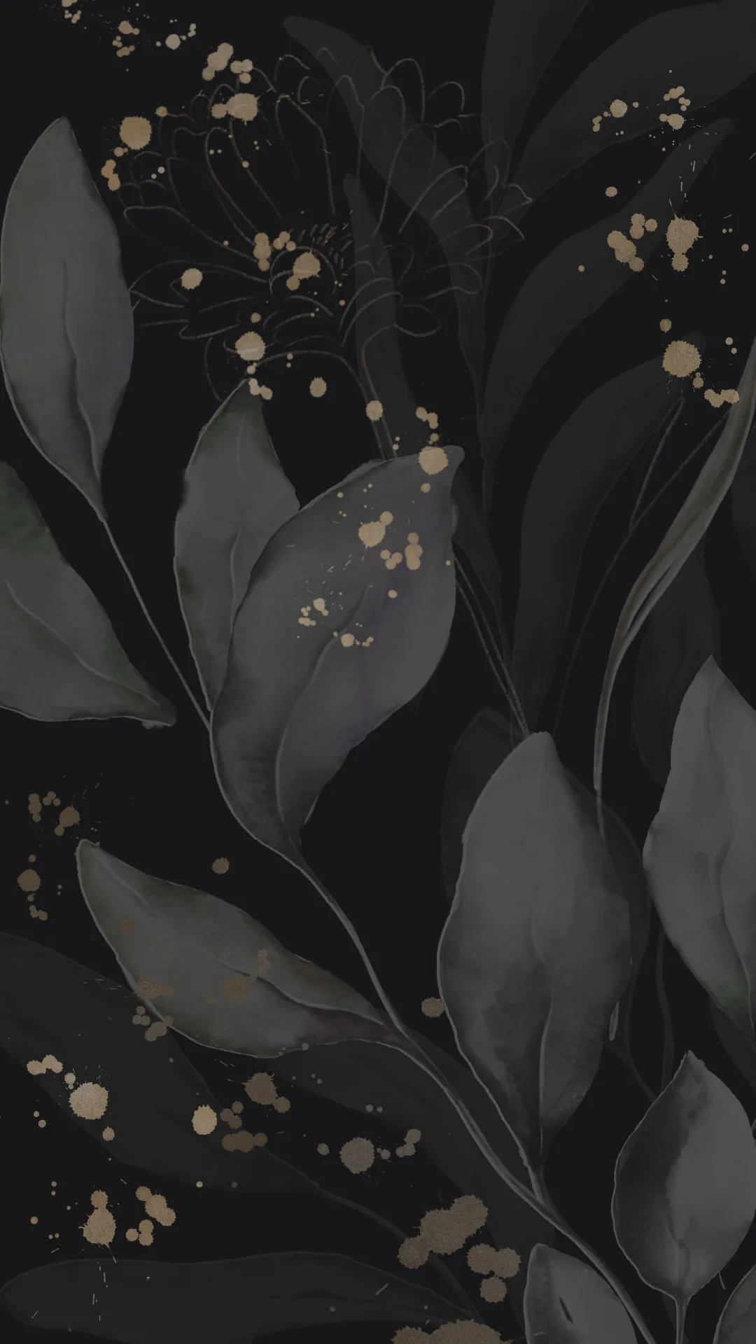 Black free phone wallpapers the November edition Vanity Owl