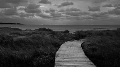 grass sea wood path wallpaper clouds sky background HD dark background Wallpapers