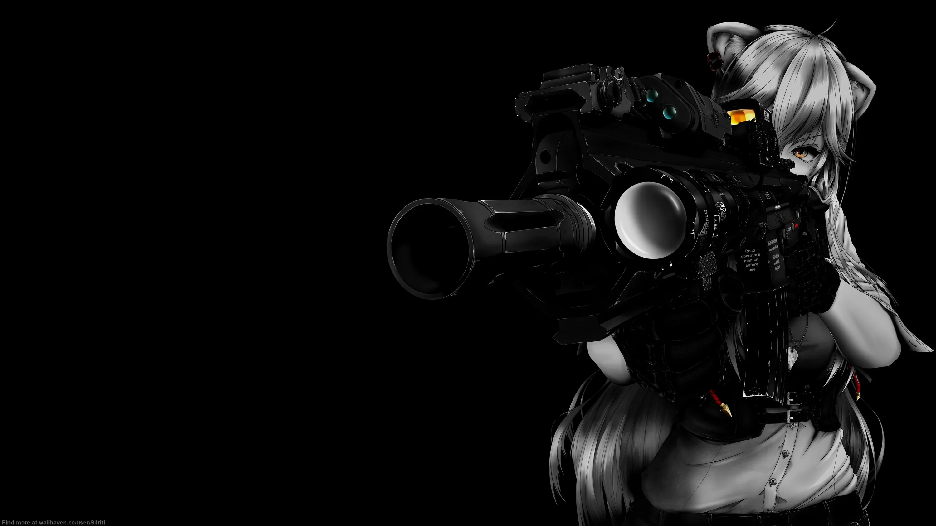 Wallpaper girl, weapons, anime, girl, black background, ears, anime, black background