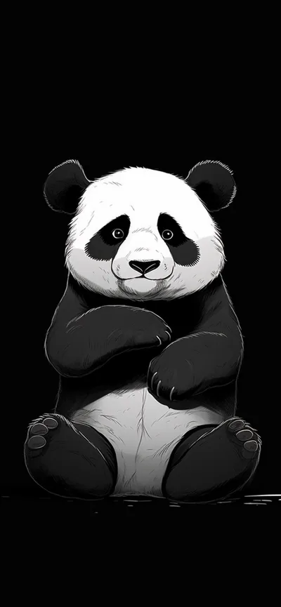 Giant Panda Black Wallpapers Panda Wallpapers for iPhone 4k