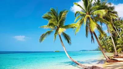 Full HD Beach Wallpapers Full HD Beach Backgrounds